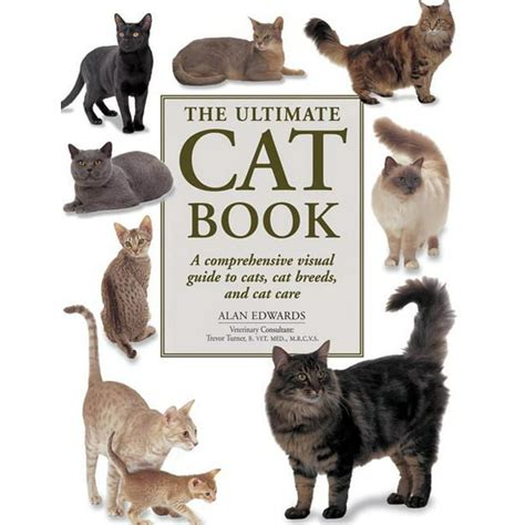 The Ultimate Kitty Love Guide (Know it all) 